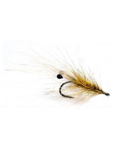 Guideline Coyote Grisen