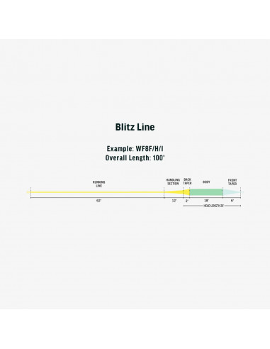 Soies RIO Blitz Ambassador Series...