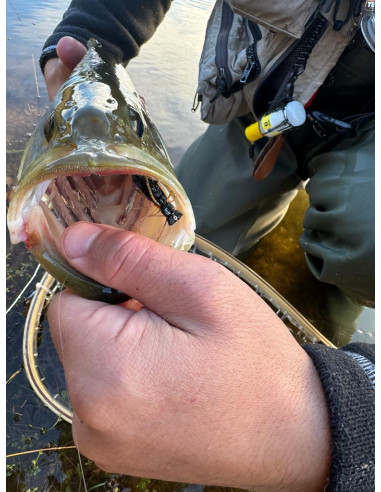 Fat Albert Noir BFF™