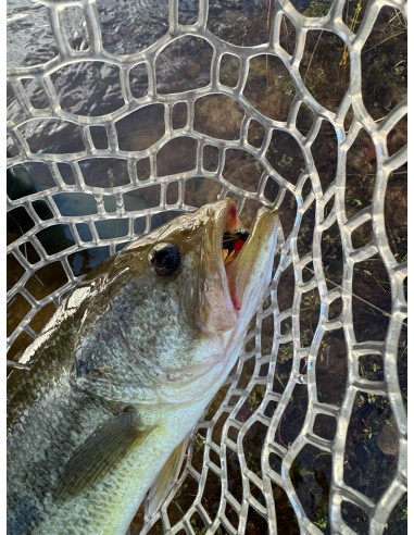 Fat Albert Noir BFF™