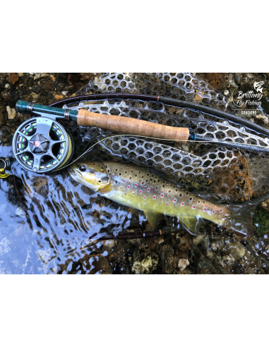 Epuisette Fishpond Nomad Native...