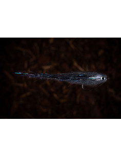 Mouche/Streamer à brochet... 2