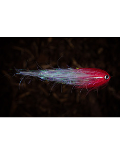 Mouche/Streamer à brochet... 2