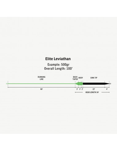 RIO Elite Leviathan Sinking Tip Fly...