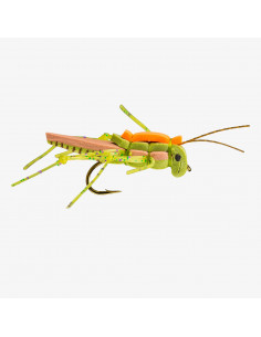 Hopper Juicy Olive RIO