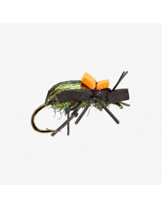 RIO's Ground Beetle