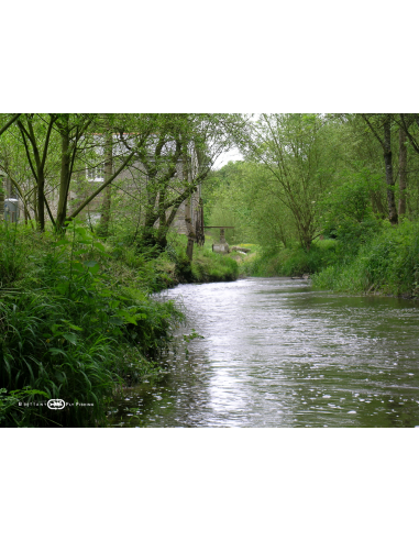 Small Stream Lightline “The Jaudy”...