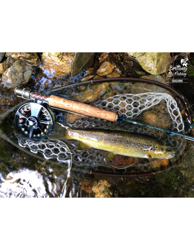 Small Stream Lightline “The Jaudy”...