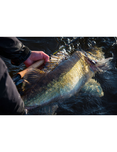 Guideline LPX Predator Single Hand...