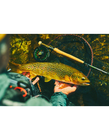 Guideline Elevation Nymph Fly Rods