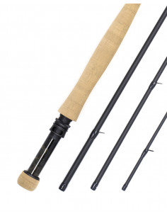 Cannes Guideline Elevation... 2