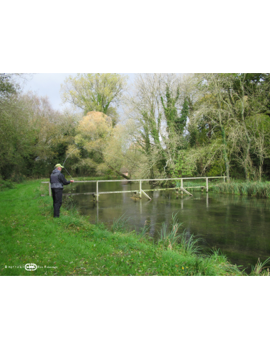 Canne à mouche Grayling Special “The...