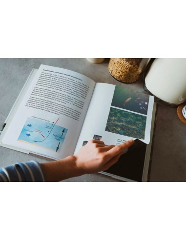 Apprendre et Maîtriser la Nymphe au...