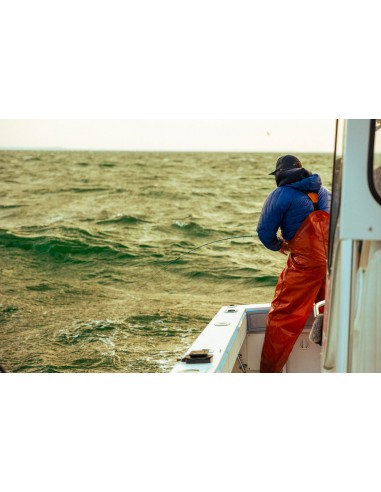 Cannes à mouche TFO Blitz