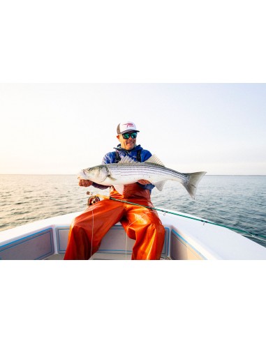 Cannes à mouche TFO Blitz