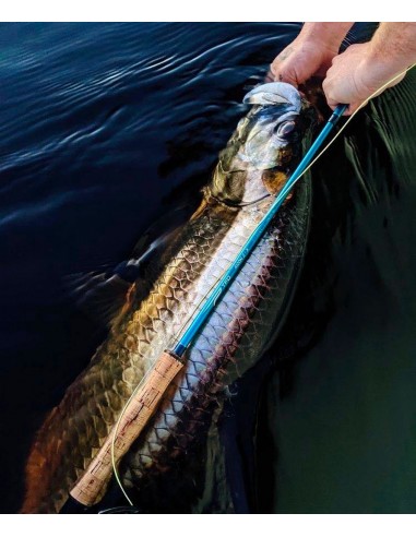 TFO Axiom II-X Fly Rods