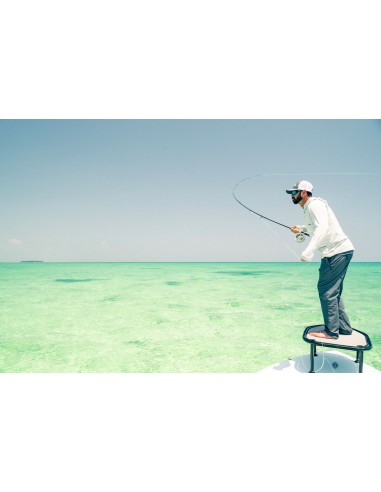 TFO Mangrove Coast Fly Rods