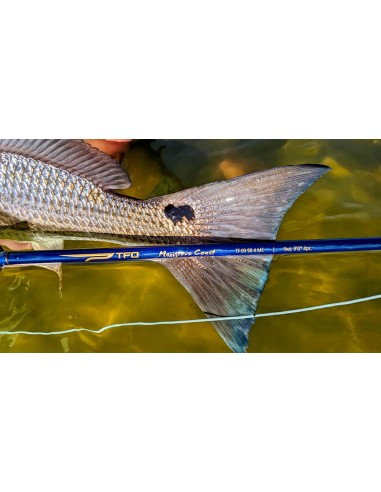 TFO Mangrove Coast Fly Rods