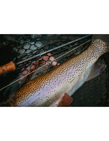 TFO LK Legacy Fly Rods