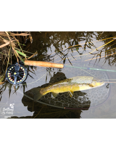 Celtic Trout Traveler “The Aulne”...