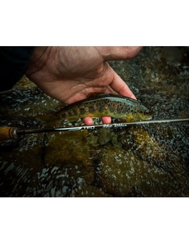 TFO Blue Ribbon Fly Rods