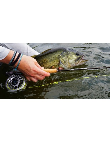 TFO Blue Ribbon Fly Rods