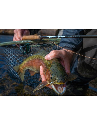 TFO Blue Ribbon Fly Rods