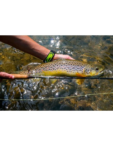 TFO Blue Ribbon Fly Rods