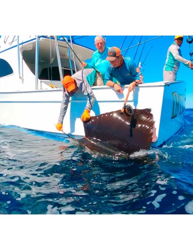 TFO Bluewater SG Fly Rods