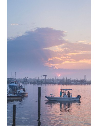 Cannes à mouche TFO Bluewater SG