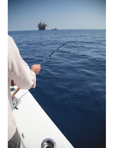 TFO Bluewater SG Fly Rods