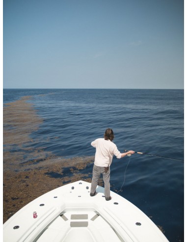 Cannes à mouche TFO Bluewater SG