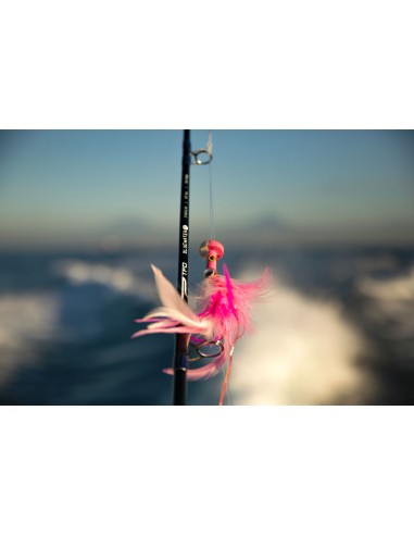 Cannes à mouche TFO Bluewater SG