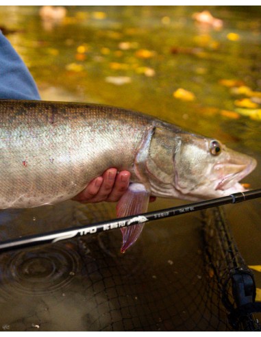 TFO Blane Chocklett BC Big Fly