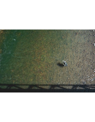 Cannes à mouche TFO NXT Black Label