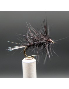 Oreille de lièvre Florian...