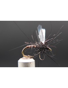 Diptère noir Florian DT