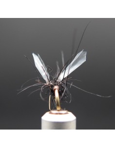 Florian Diptera Midge... 2