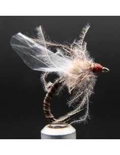 Florian Adult Midge/Buzzer...