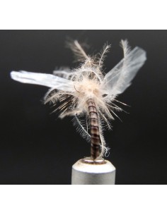 Florian Adult Midge/Buzzer... 2