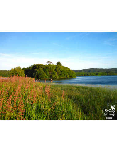 Canne à mouche Lake & River Lightline...