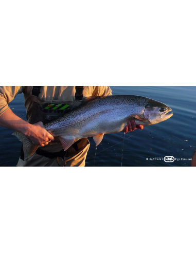 Lake Allround Salmon, SeaTrout & Shad...