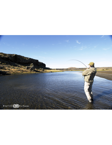 Lake Allround Salmon, SeaTrout & Shad...