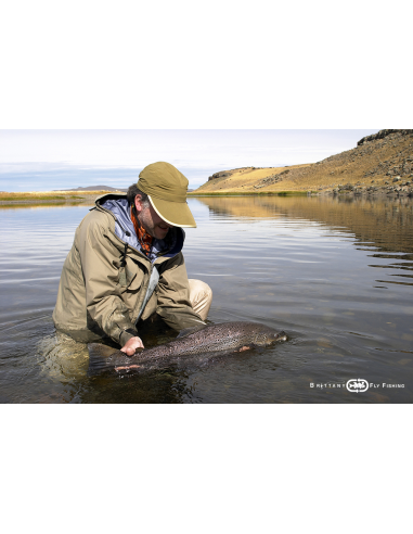 Lake Allround Salmon, SeaTrout & Shad...