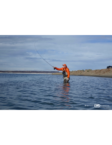 Lake Allround Salmon, SeaTrout & Shad...