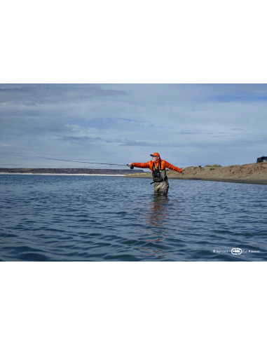 Canne à mouche Lake Allround Salmon,...