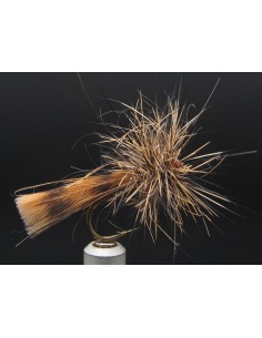 Sedge Drag Cannelle Florian