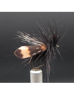 Florian Drag Piebald Sedge