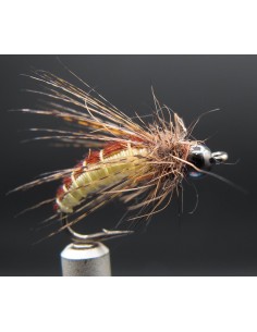 Nymphe casquée trichoptère...