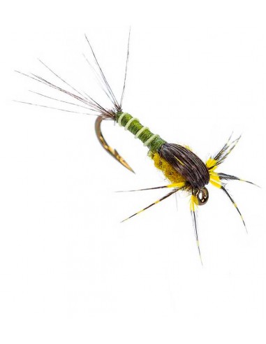 Nymphe de surface Olive foncé Florian...